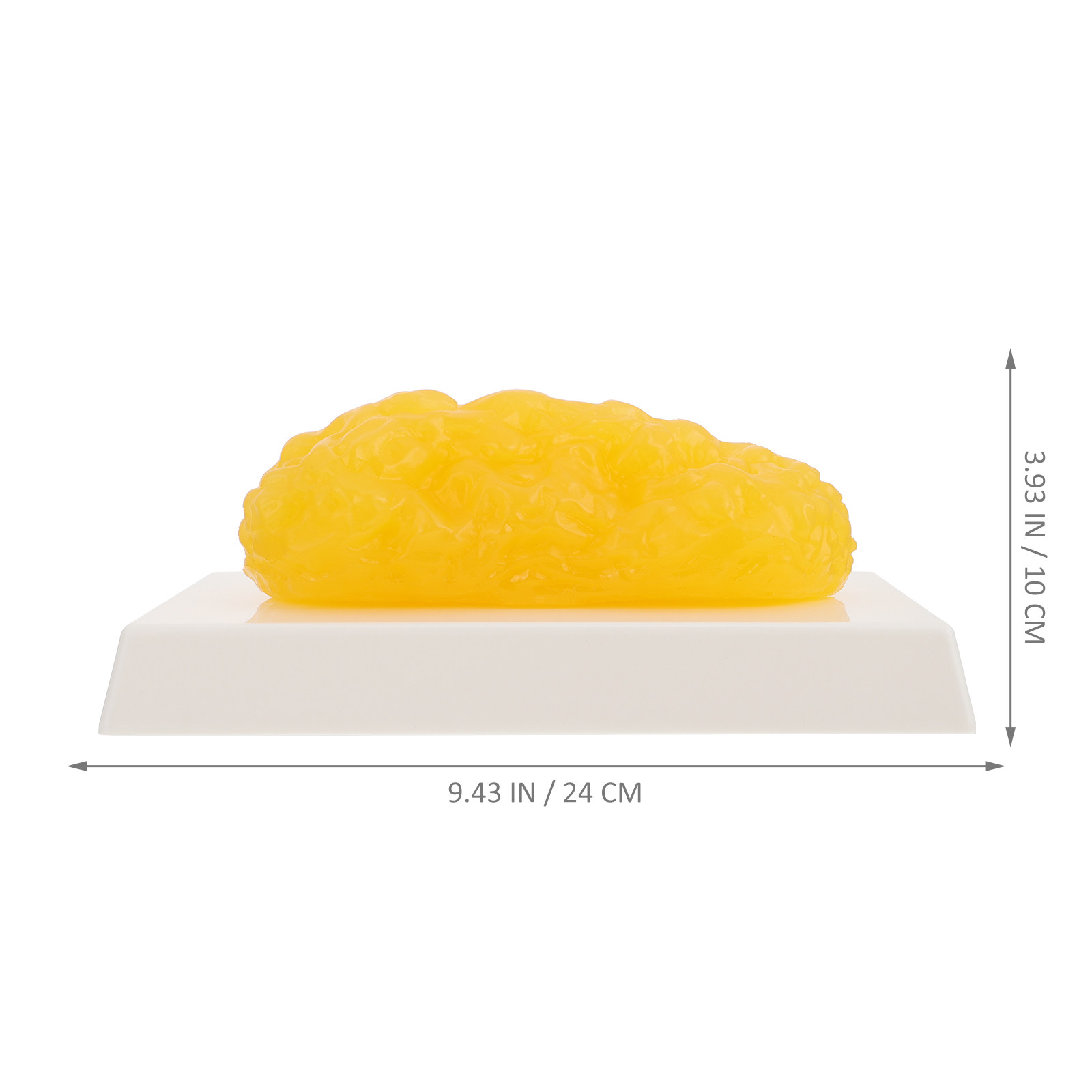 Human Body Fat Pound Plastic F - Nutrition In Fitness のレビューと価格