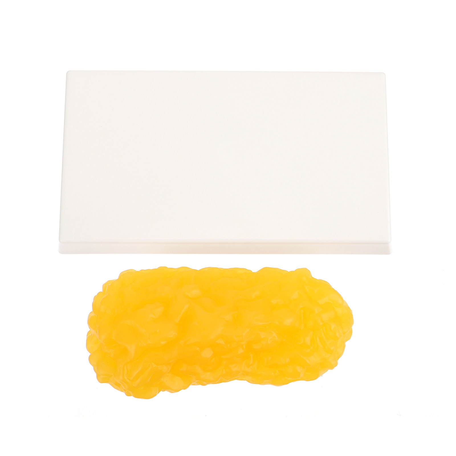 Human Body Fat Pound Plastic F - Nutrition In Fitness のレビューと価格