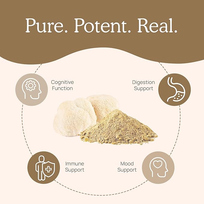 Lions Mane Mushroom Cognition  - Lion Mane Mushroom のレビューと価格