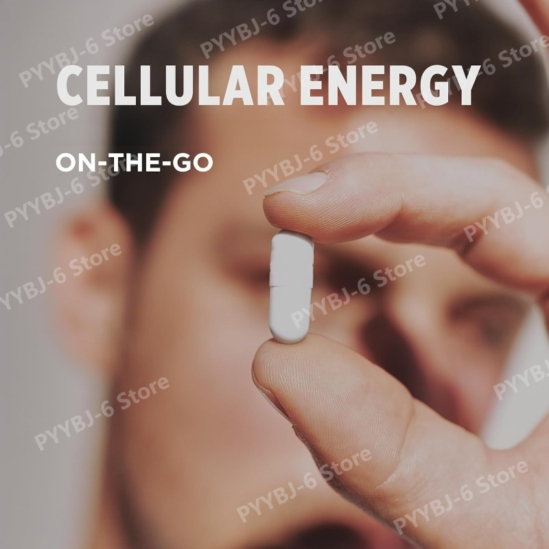 Creatine HCl Capsules High Abs - Creatine Hcl Capsule のレビューと価格