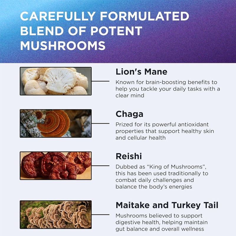9000mg Organic Lion Mane Suppl - Lion Mane Mushroom のレビューと価格