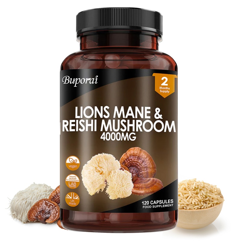 Lions Mane & Reishi Mushroom 4 - Lion Mane Mushroom のレビューと価格