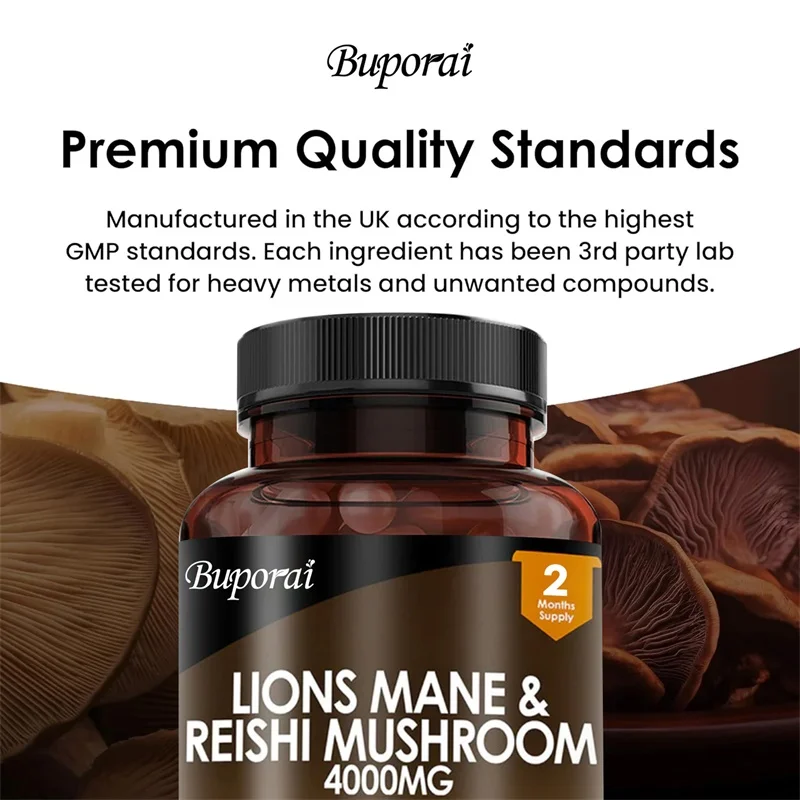 Lions Mane & Reishi Mushroom 4 - Lion Mane Mushroom のレビューと価格