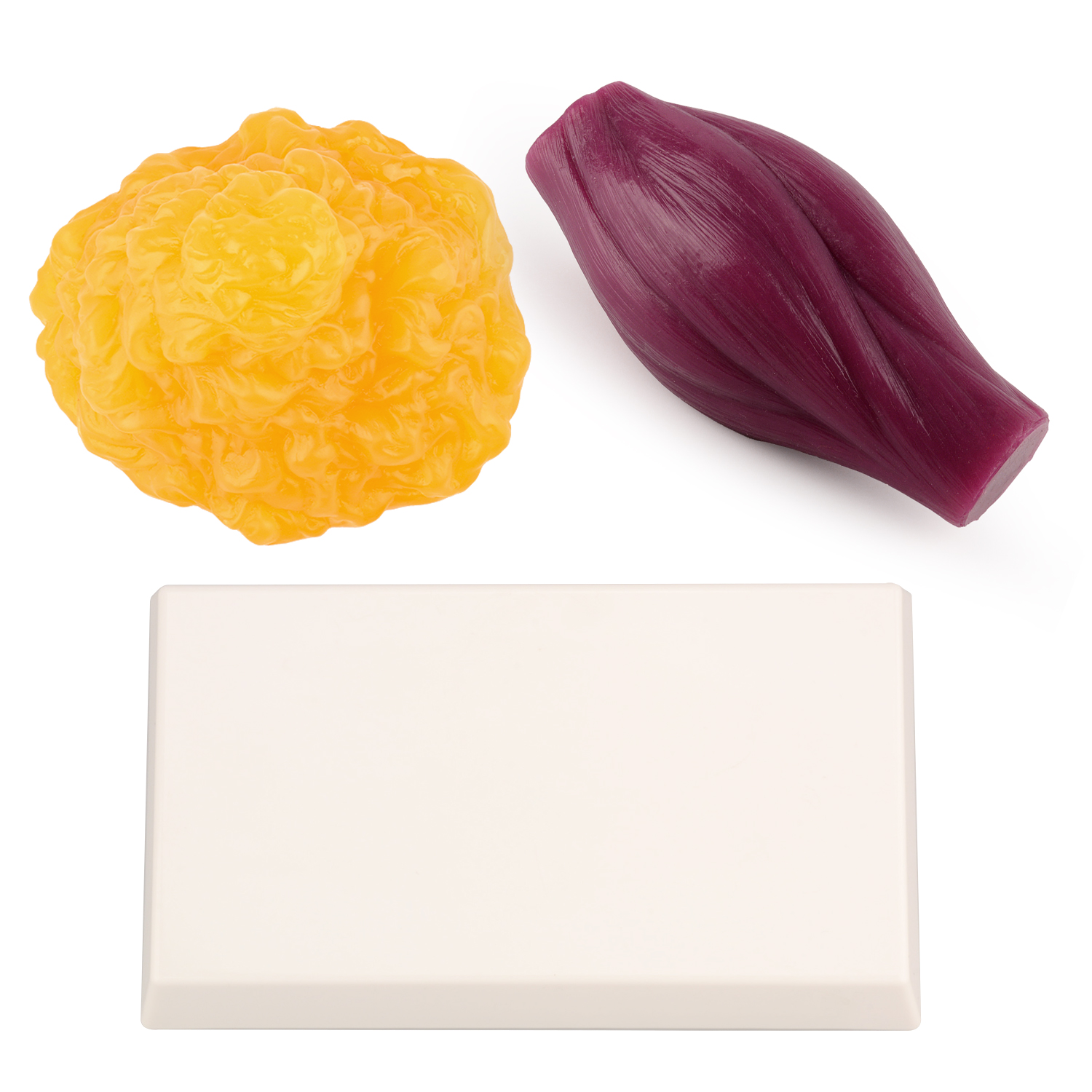 1lb Fat Replica & Muscle to Ke - Nutrition In Fitness のレビューと価格