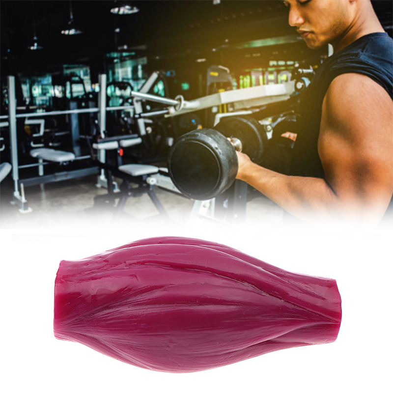 1lb Muscle to Keep Fit & Weigh - Nutrition And Fitness Courses のレビューと価格