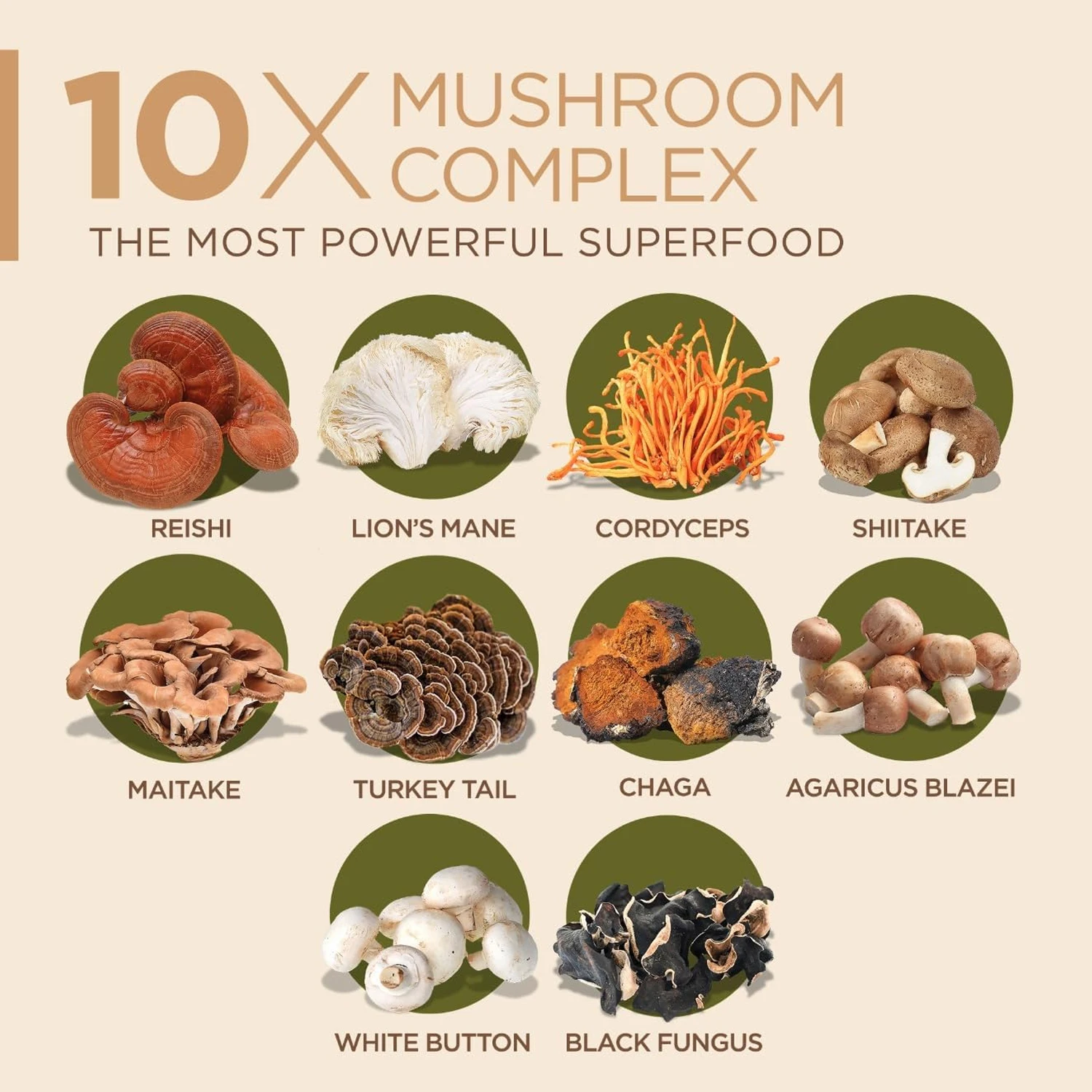 10x Mushroom Complex Capsules  - Lion Mane Mushroom のレビューと価格
