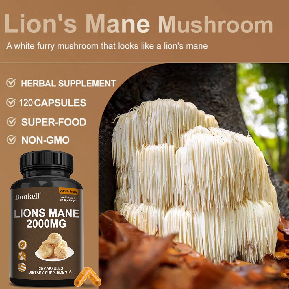 Organic Lions Mane Mushroom Ca - Lion Mane Mushroom のレビューと価格