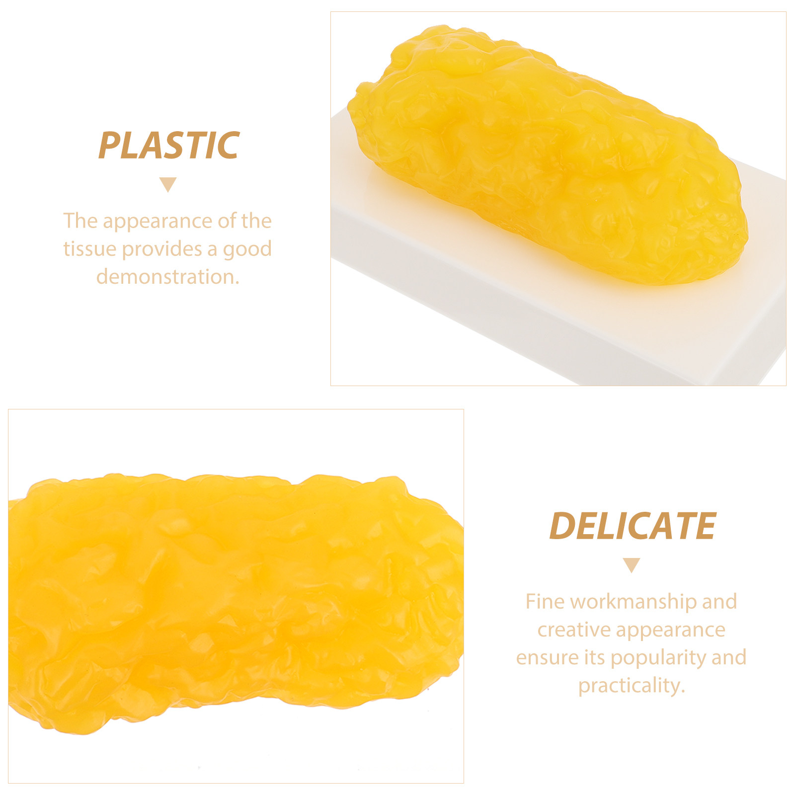 Human Body Fat Pound Plastic F - Nutrition In Fitness のレビューと価格