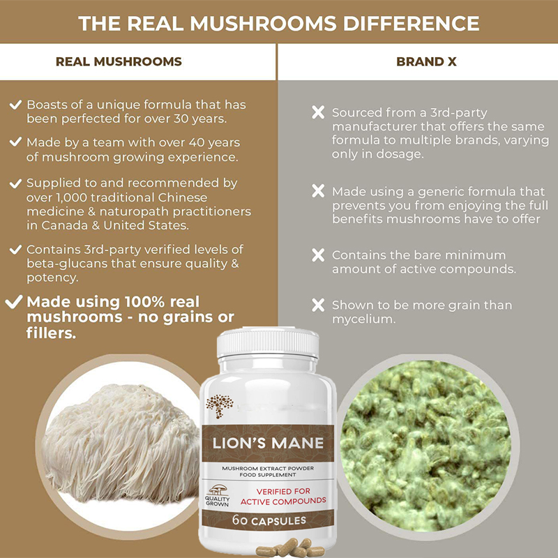Lion Mane Ganoderma Mushroom C - Lion Mane Mushroom のレビューと価格